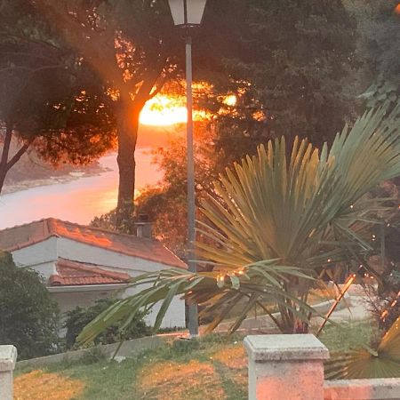 La Casita De Noe Con Vista Al Pantano De San Juan Villa San Martín de Valdeiglesias Eksteriør billede